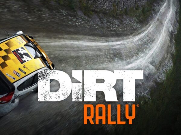 DiRT Rally – grafika gry